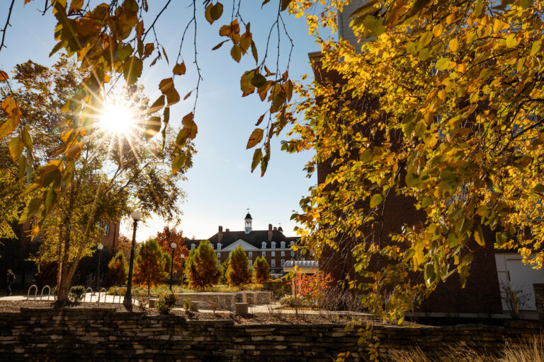 Fall view of Illini Union from north of Green Street.