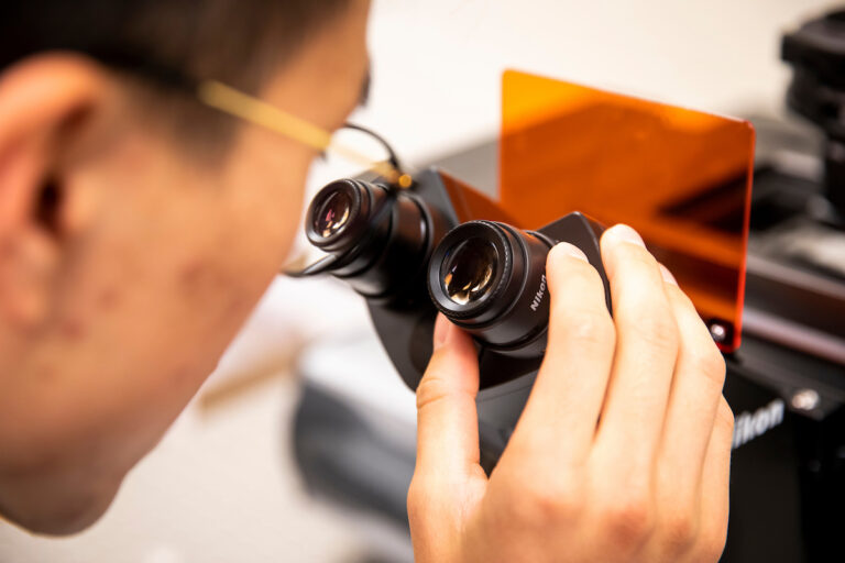 An individual looks into a microscope
