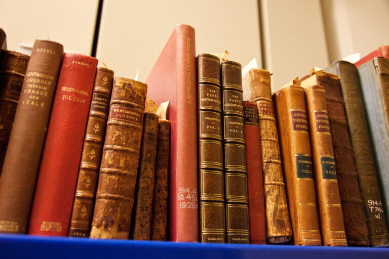 Books on a shelf at the library